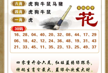 2025096期香港彩九肖30码中特